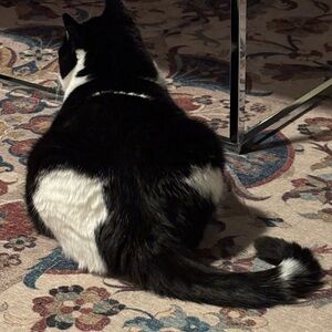 Meet your Posher, Leighann